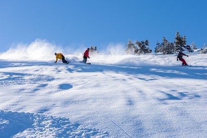 Snowboard