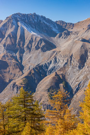 Auron