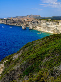 Bonifacio