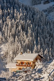 Auron
