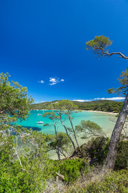 Porquerolles