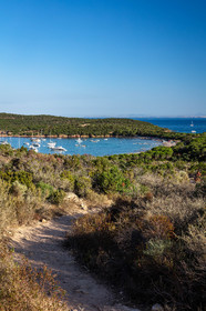 Rondinara
