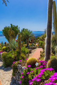 Eze Jardin exotique