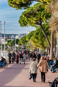 Cannes