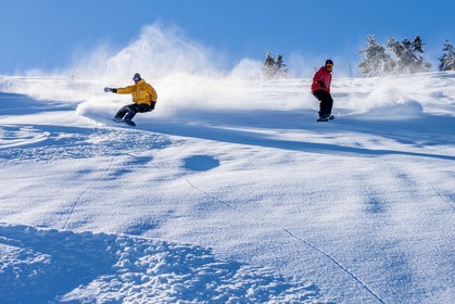 Snowboard