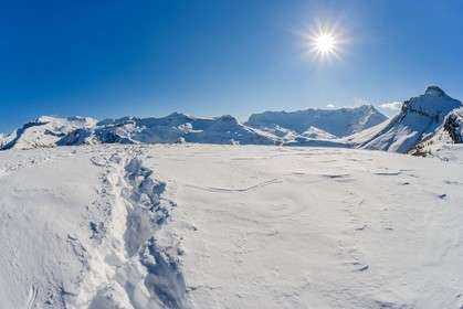 Auron