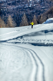 Ski de fond