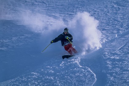 Monoski