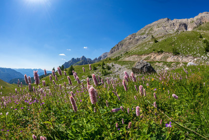 Col des Champs
