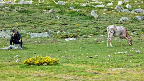 GR 20 Nord