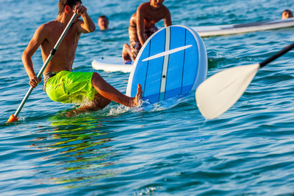 Paddle