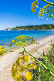 Lérins Sainte-Marguerite 2024