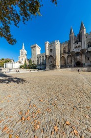 Avignon