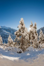 Auron