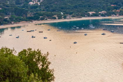 Campomoro