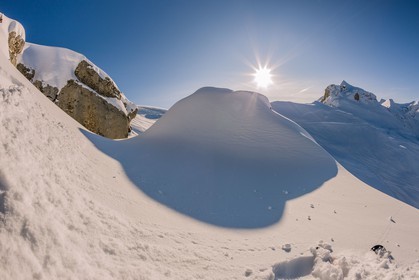 Auron