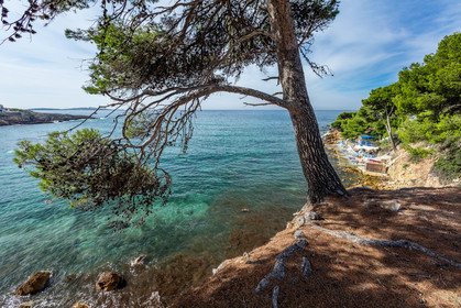 Sanary-sur-Mer