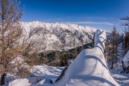 Auron