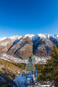 Auron