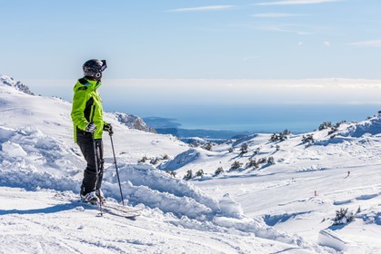 Ski