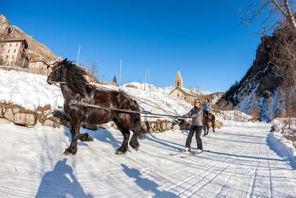 Ski joëring
