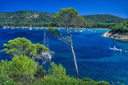 Porquerolles