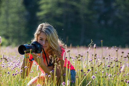 France, Alpes-de-Haute-Provence (04) Val d'Allos