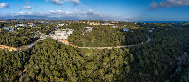 Pole Alpha Sophia Antipolis