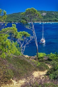 Porquerolles