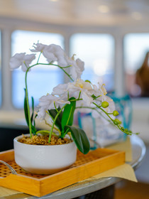 Rivage Croisière II
