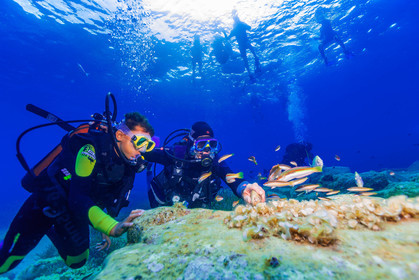 Plongée-sous-marine