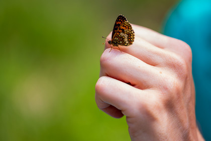 France, Alpes-de-Haute-Provence, Val d'Allos