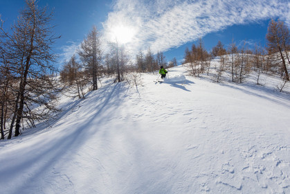 Freeride