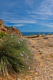 Cap Canaille