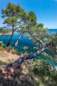 .La Seyne-sur-Mer