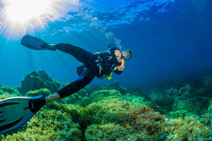 Plongée-sous-marine