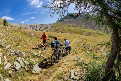 Rando Vtt Lacs de Lignin