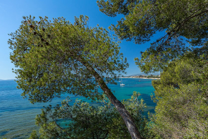 La Londe-les-Maures