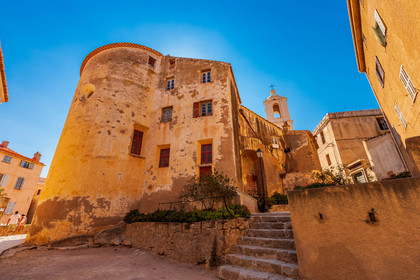 Calvi