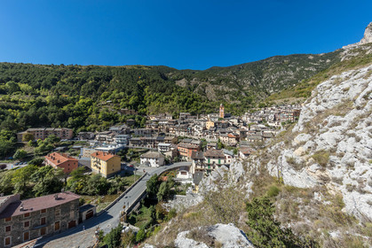 Tende