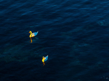 Lérins Sainte Marguerite 2024