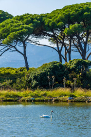 Lérins Sainte-Marguerite
