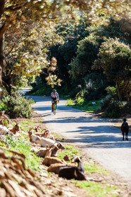 Bikingman Corsica 2019