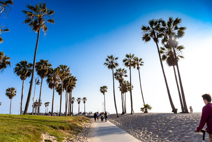 Etats-Unis, Californie-du-Sud, Los Angeles, Venice, Venice Beach