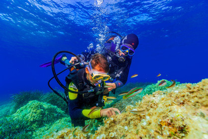 Plongée-sous-marine