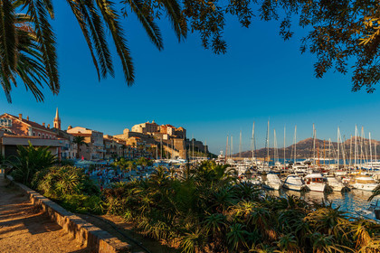 Calvi