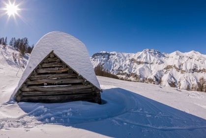Auron