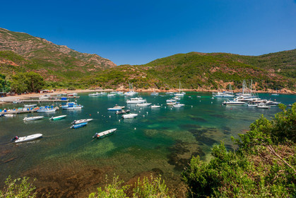 Girolata
