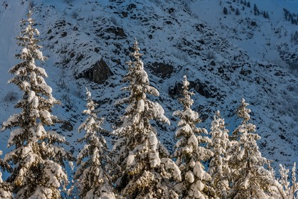 Auron