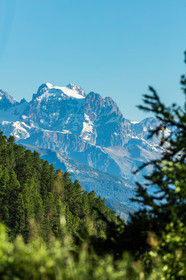 Barre des Ecrins